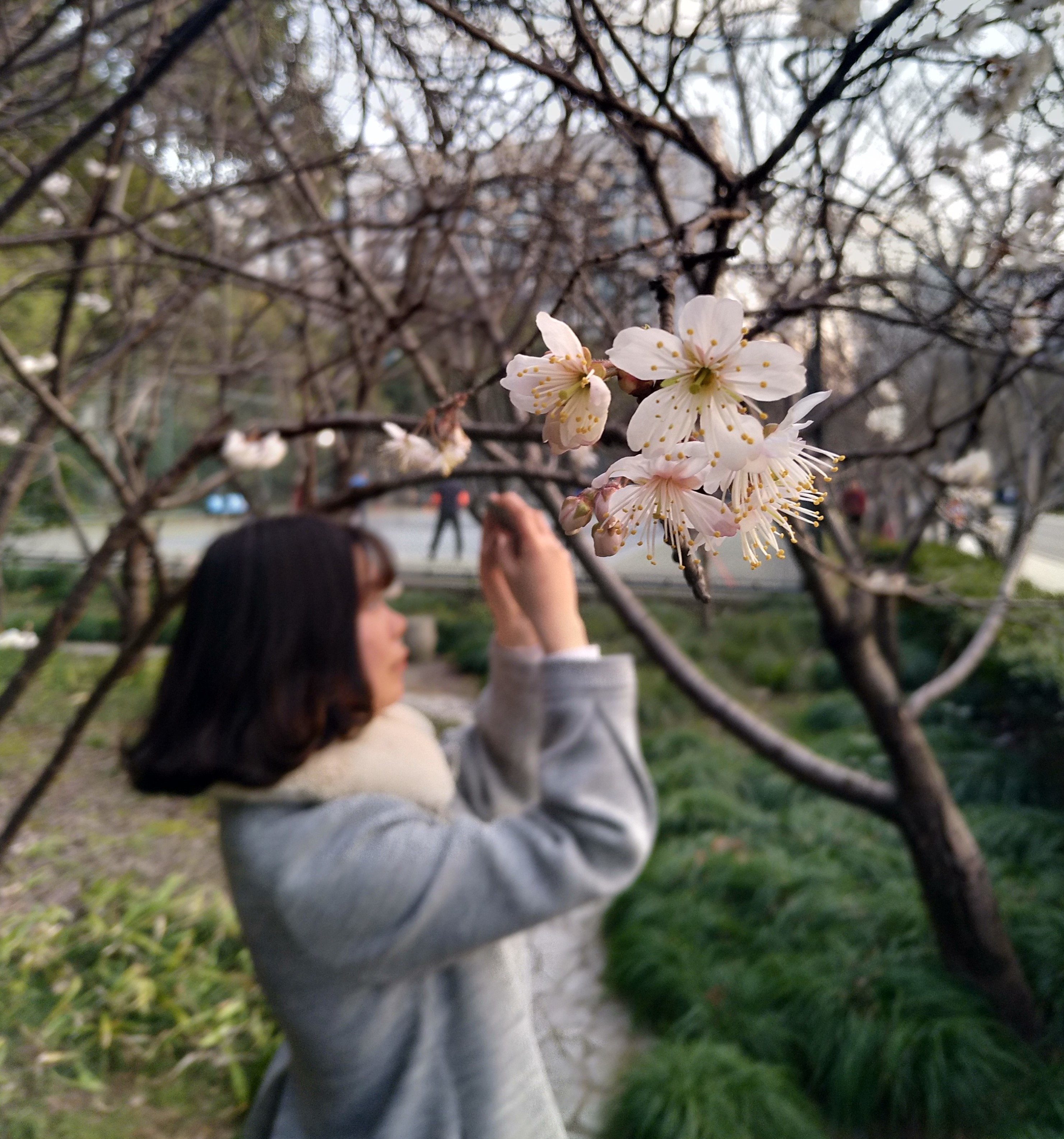 同济大学_18