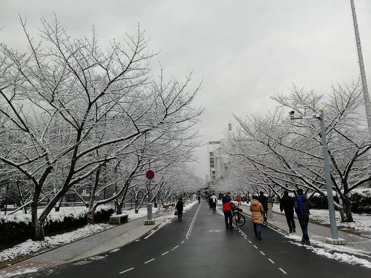 同济大学_20